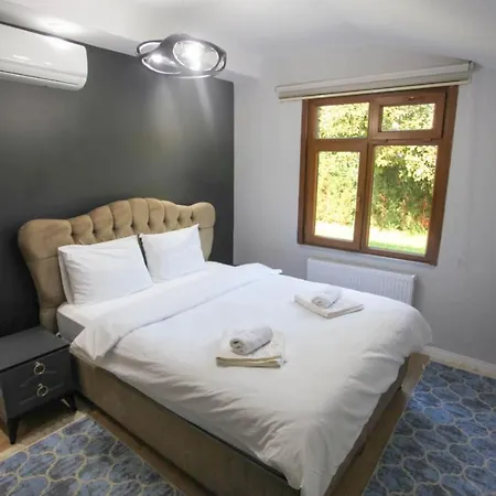 Amazing Villa With Private Pool In Sapanca Villa Sakarya (Marmara)